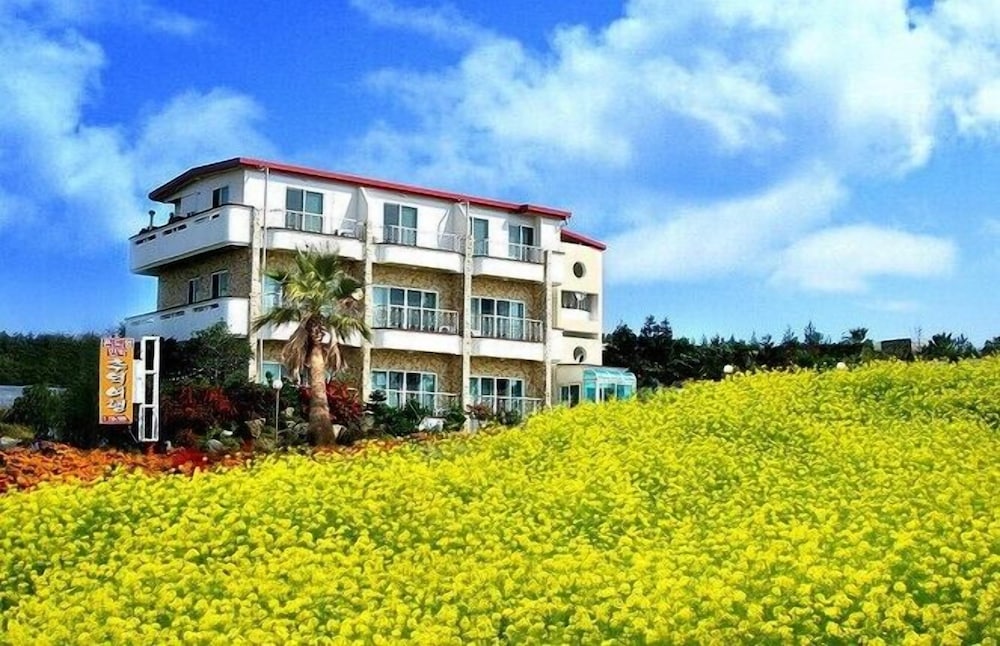 Memory Tour - carbon neutral hotel in Seogwipo