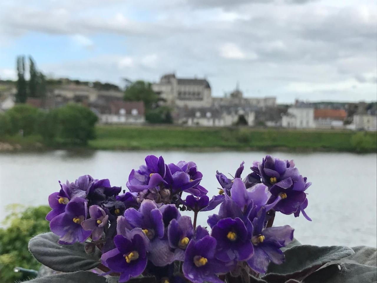 Les Studios De Soizick — Amboise