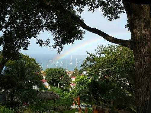 Le matelot de la baie in Unknown City, Guadeloupe