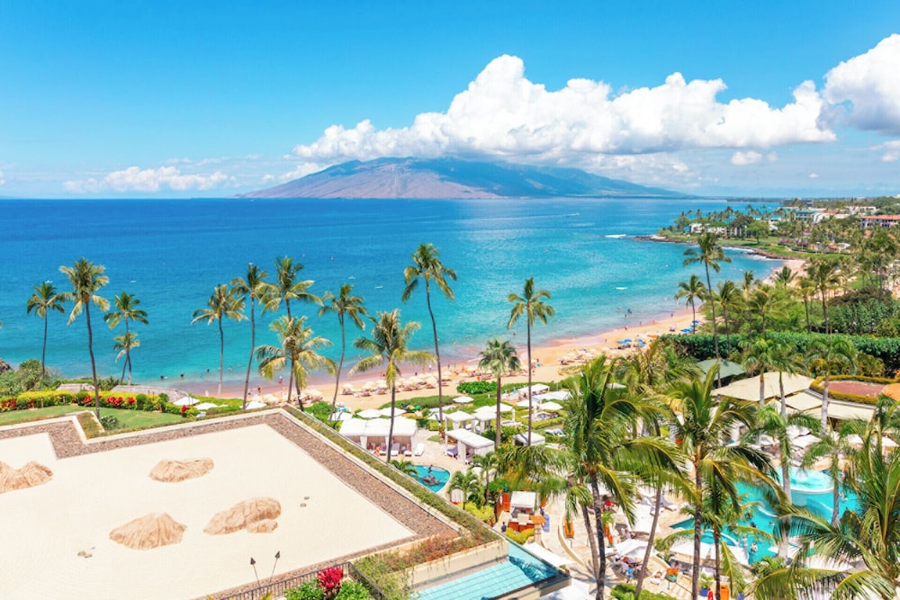Four Seasons Resort Maui at Wailea - photo 42