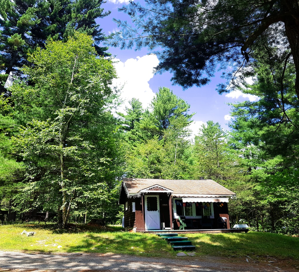 The Wilderness Inn - photo 59