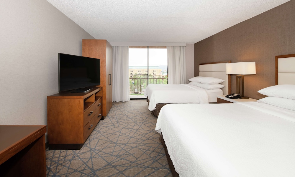 Embassy Suites by Hilton Colorado Springs - photo 20