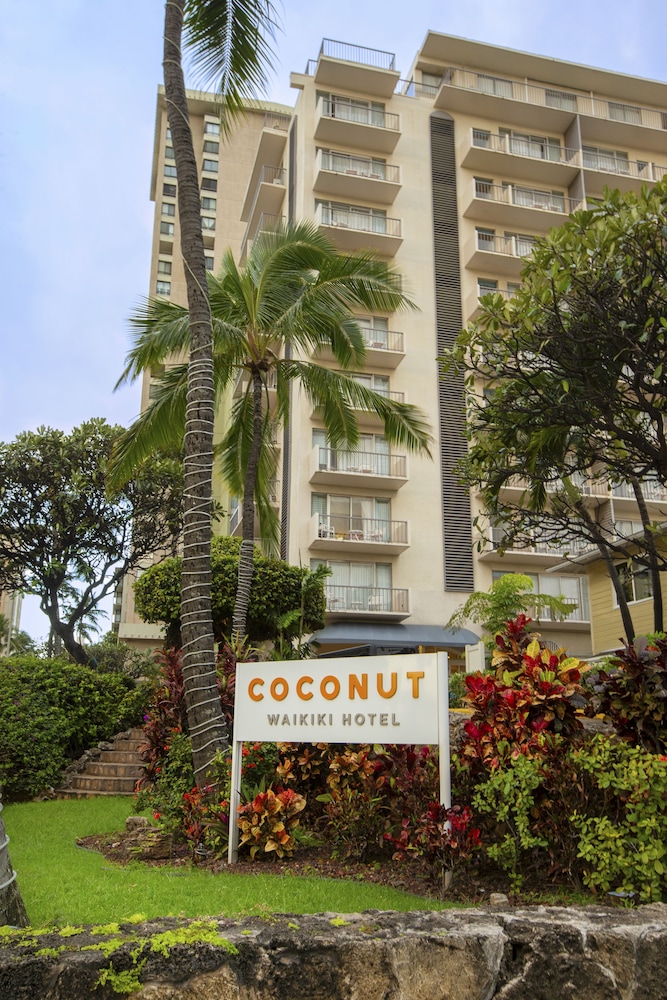Coconut Waikiki Hotel - photo 33