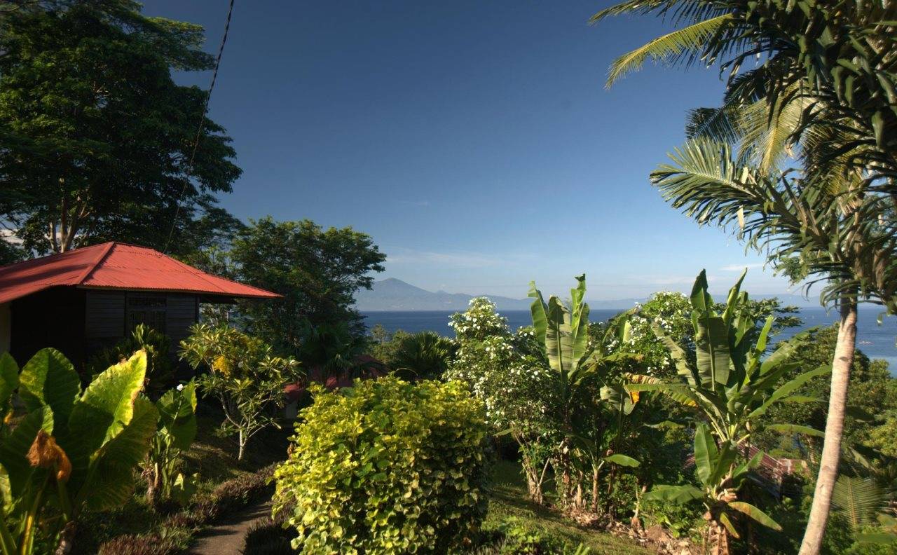 Happy Gecko Dive Resort in Manado, Indonesia