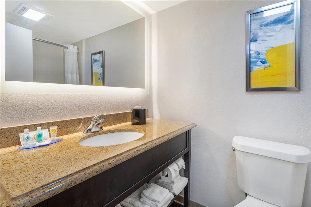 Comfort Inn Oak Ridge Knoxville - photo 38