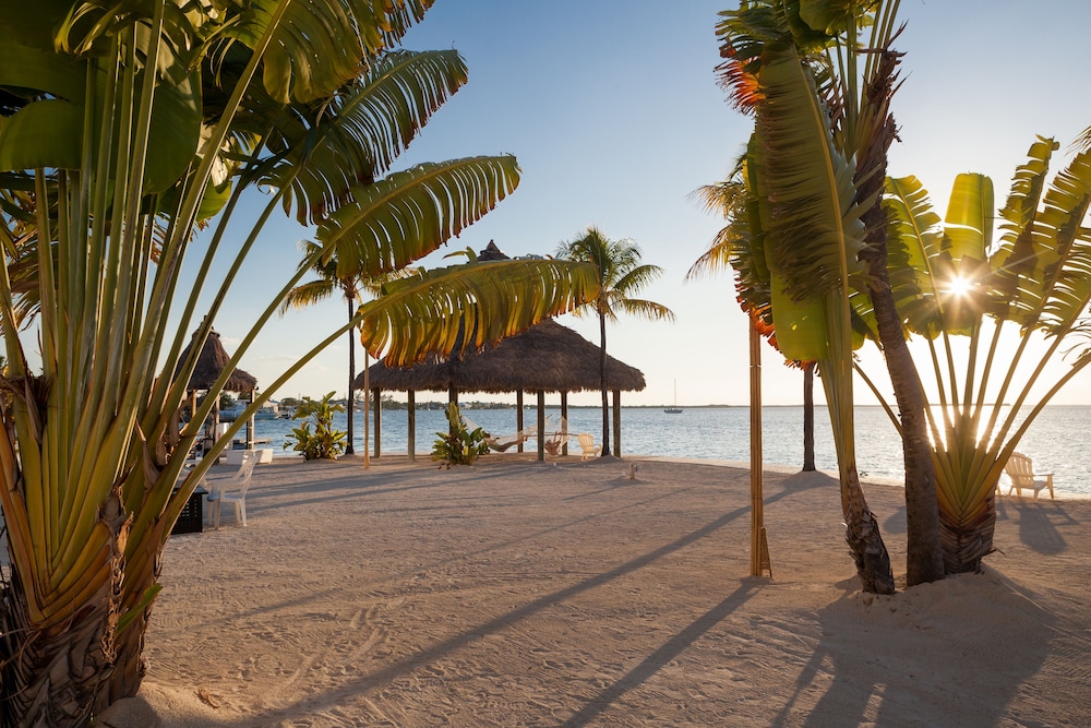 Reefhouse Resort & Marina - photo 54