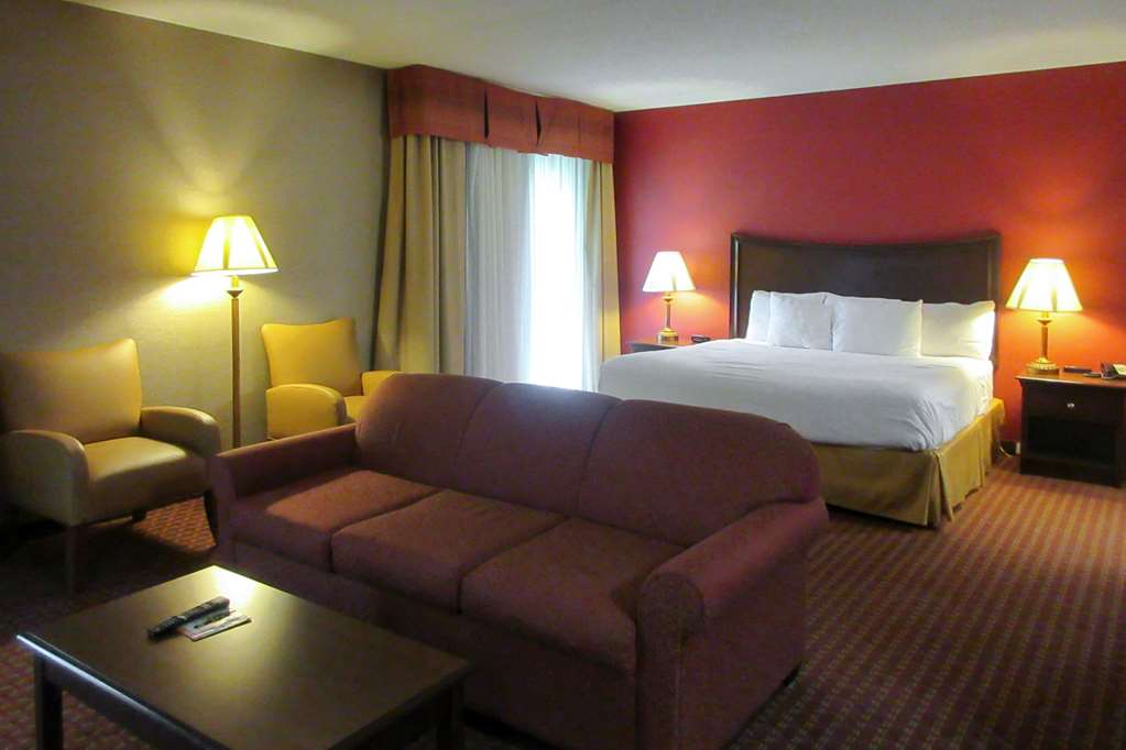 Quality Inn & Suites Owego - photo 5