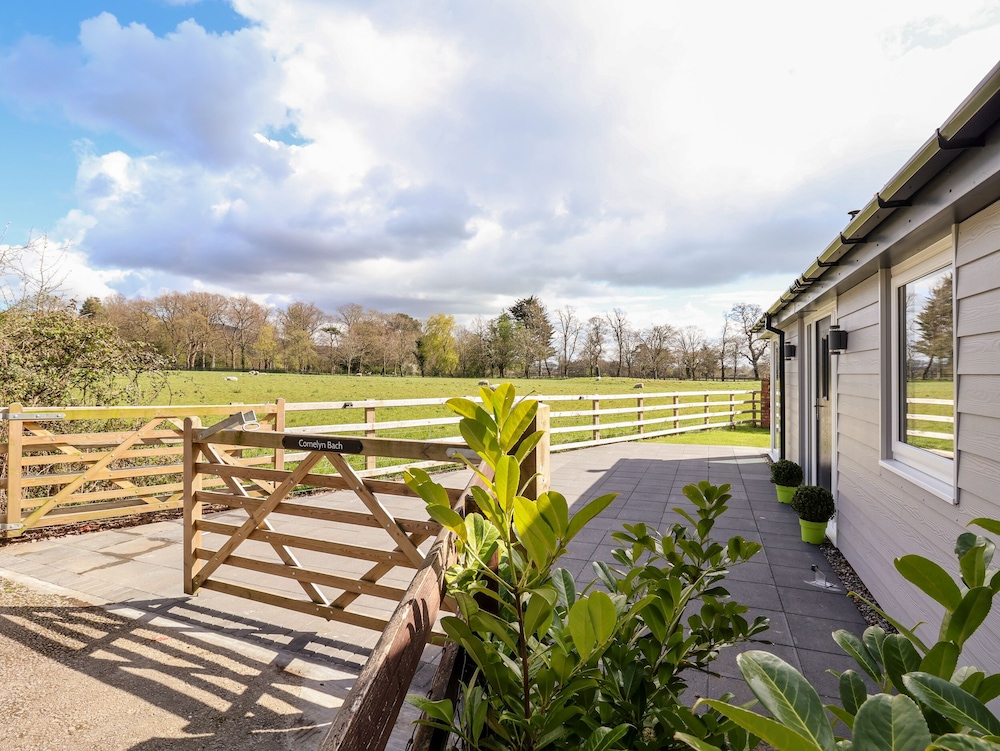 Cornelyn Bach in Saint Asaph, United Kingdom