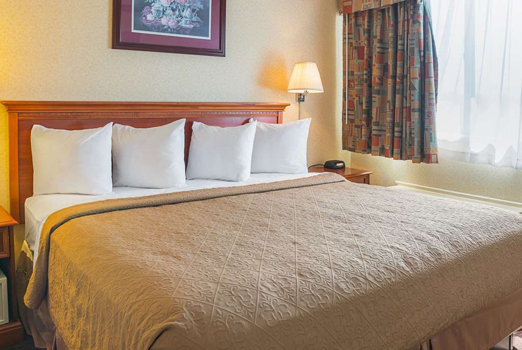 Quality Inn & Suites Detroit Metro Airport - photo 11