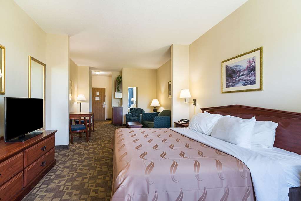 Quality Inn & Suites Schoharie near Howe Caverns - photo 25