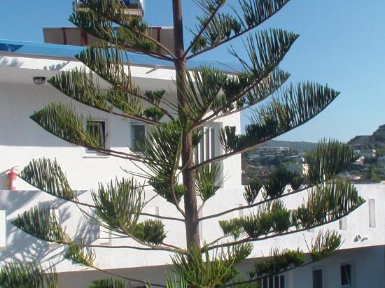 Panorama Studios - carbon neutral hotel in Kefalos