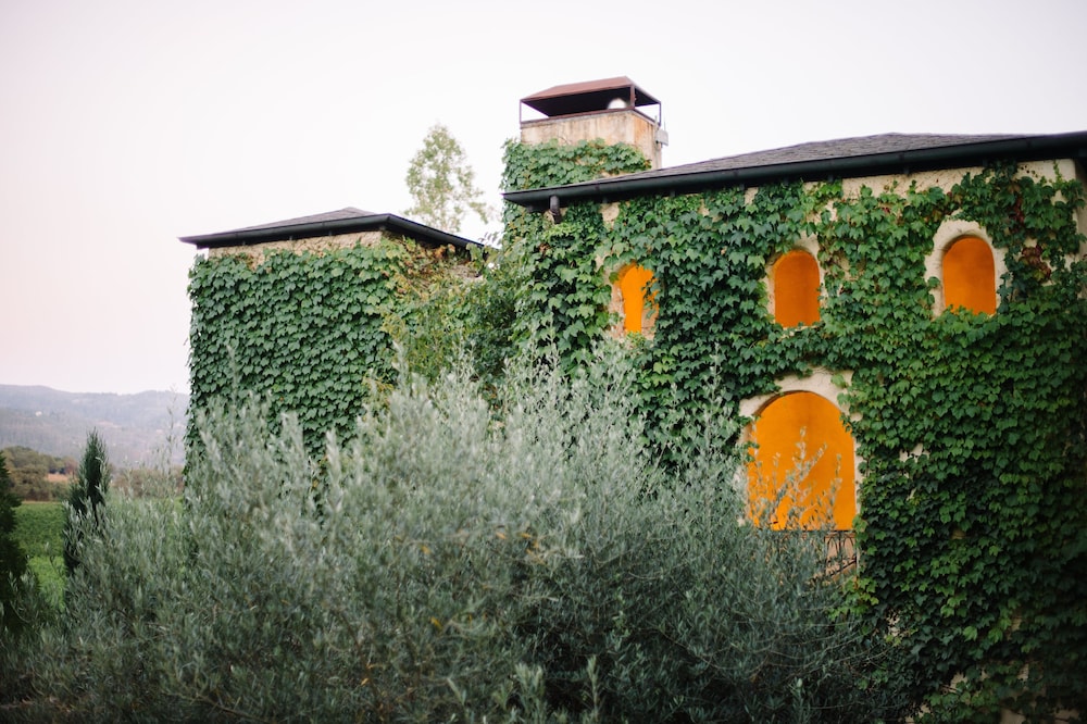 Kenwood Inn and Spa - photo 85