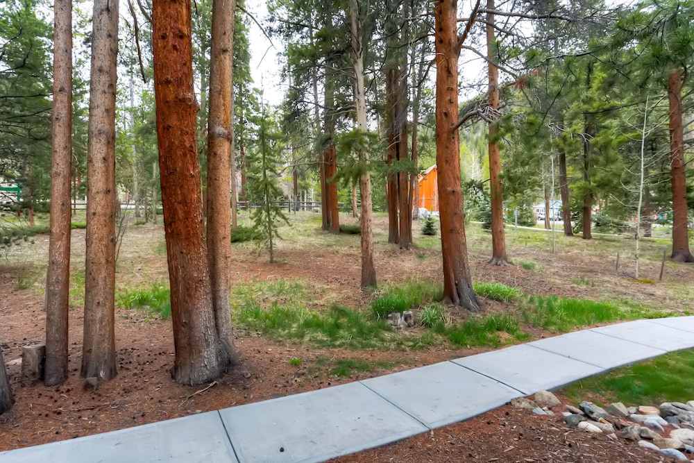 Forest Condominiums by Keystone Resort - photo 52