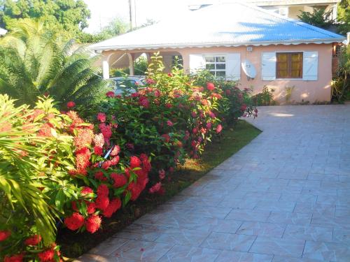 Maison charmante à Sainte Anne avec jardin clôturé — 4-Star Luxury Hotel in Sainte-Anne, Guadeloupe