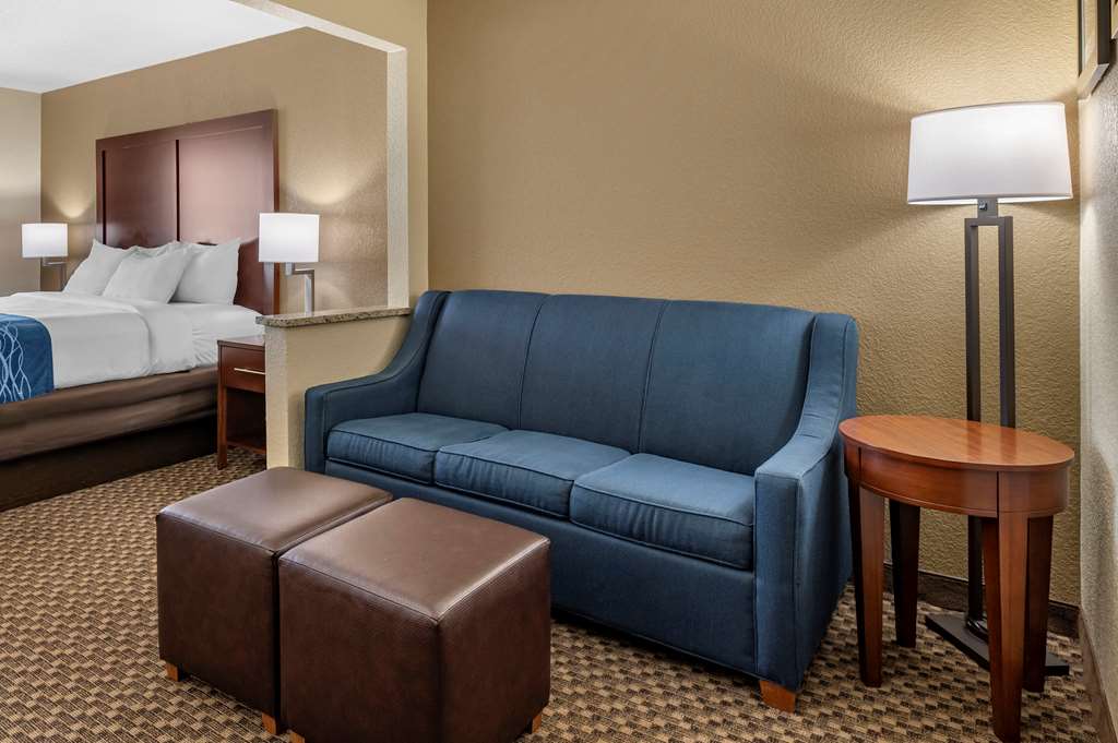 Comfort Inn Near Kokomo Speedway - photo 36
