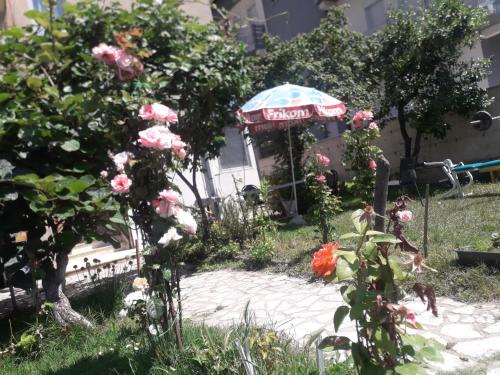 Apartman Struga — 4-Star Luxury Hotel in Struga, Republic of Macedonia