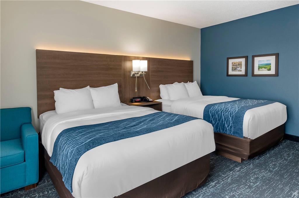 Comfort Inn & Suites Troutville Roanoke North - photo 10