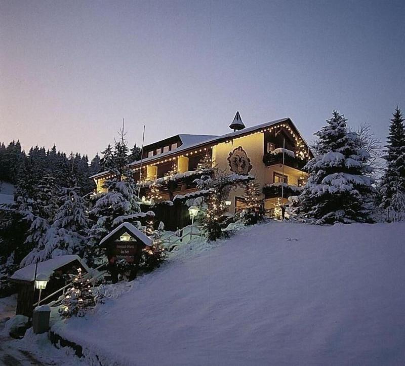 Hotel Adlerschanze — hotel in Schoenwald