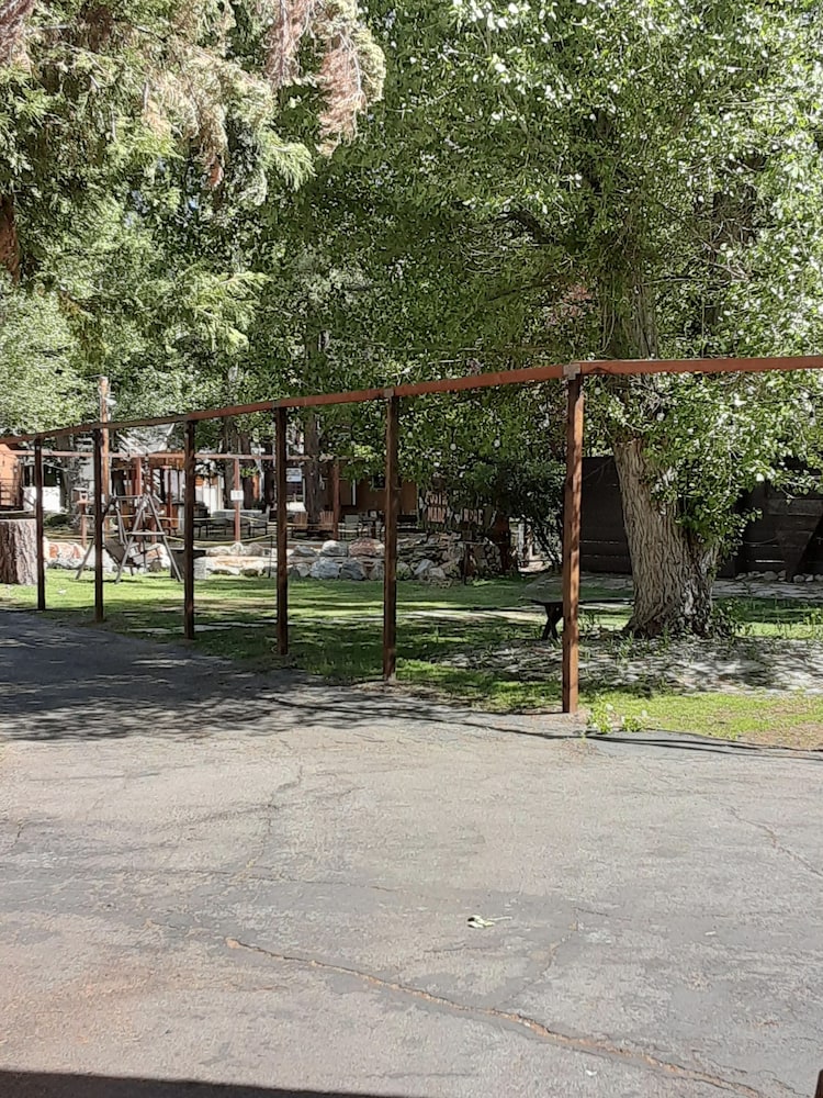 Grey Squirrel Resort - photo 167