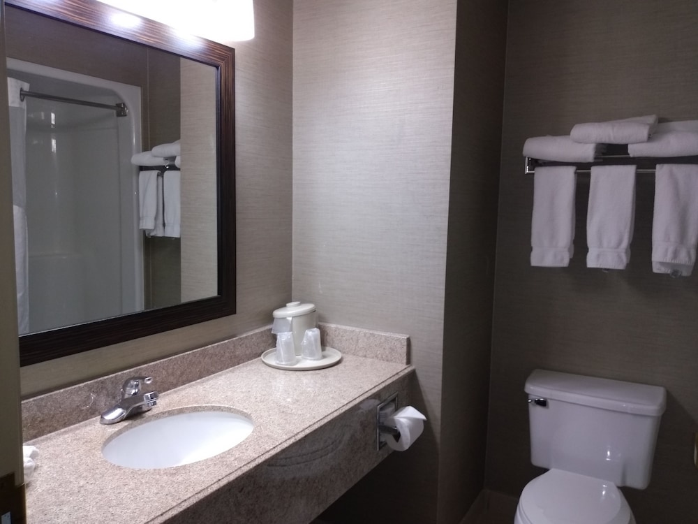 Holiday Inn Express Hotel & Suites Waterford by IHG - photo 61