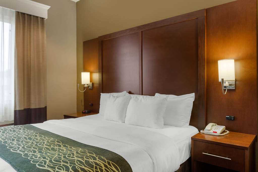 Comfort Inn & Suites Amarillo East - photo 8