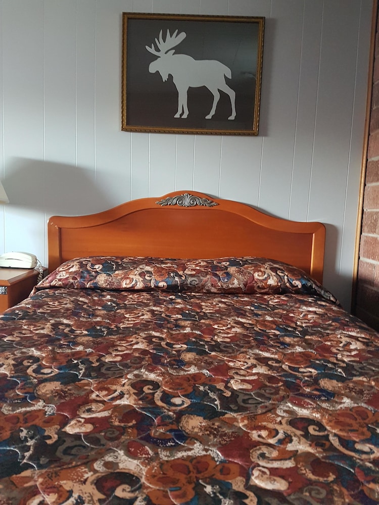 The Butte Motel - photo 4