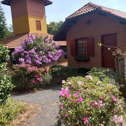 Caminho do Sol — Monte Verde — photo 5