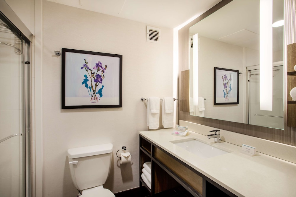 Hilton Garden Inn Nashville Smyrna - photo 21