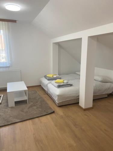 Eli rooms in Novi Sad, Serbia