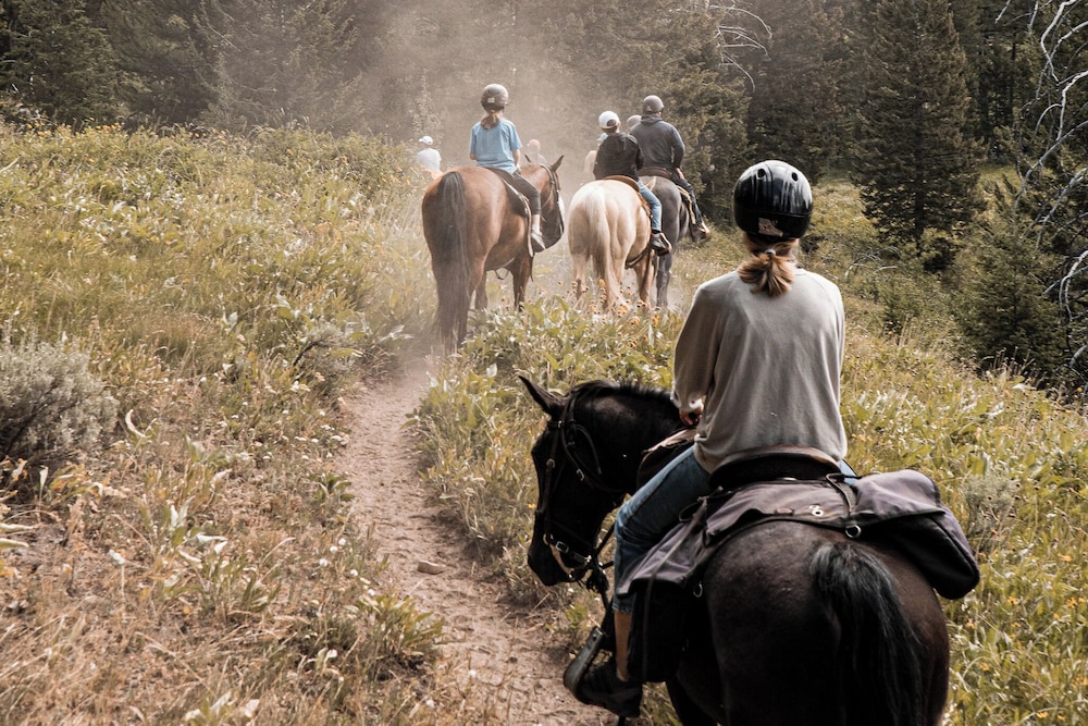 Heart 6 Ranch - photo 87