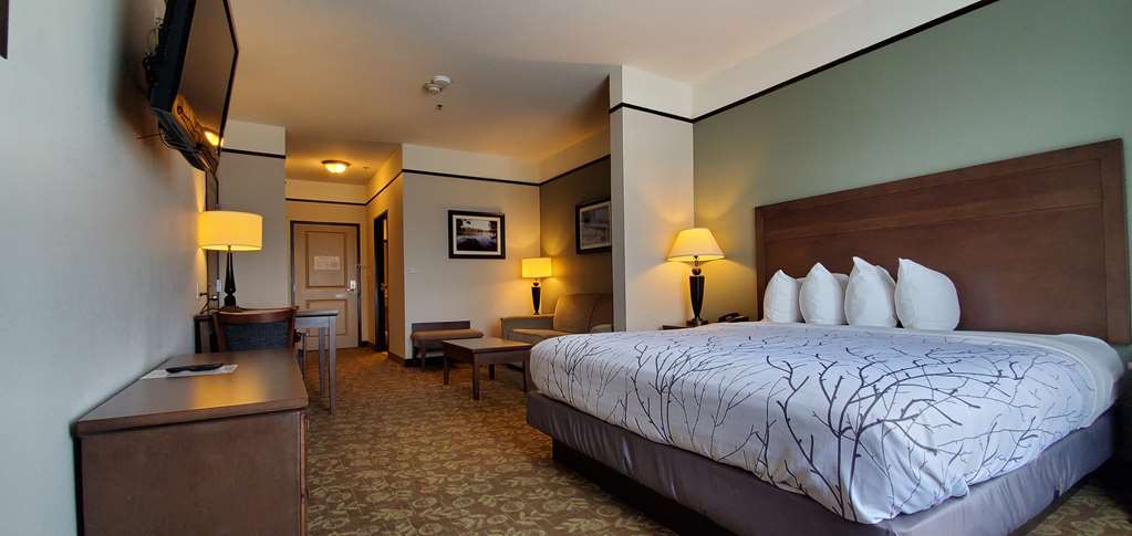 Best Western Plus Emory At Lake Fork Inn & Suites - photo 3