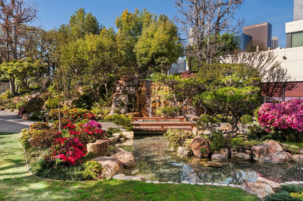 מראה חיצוני