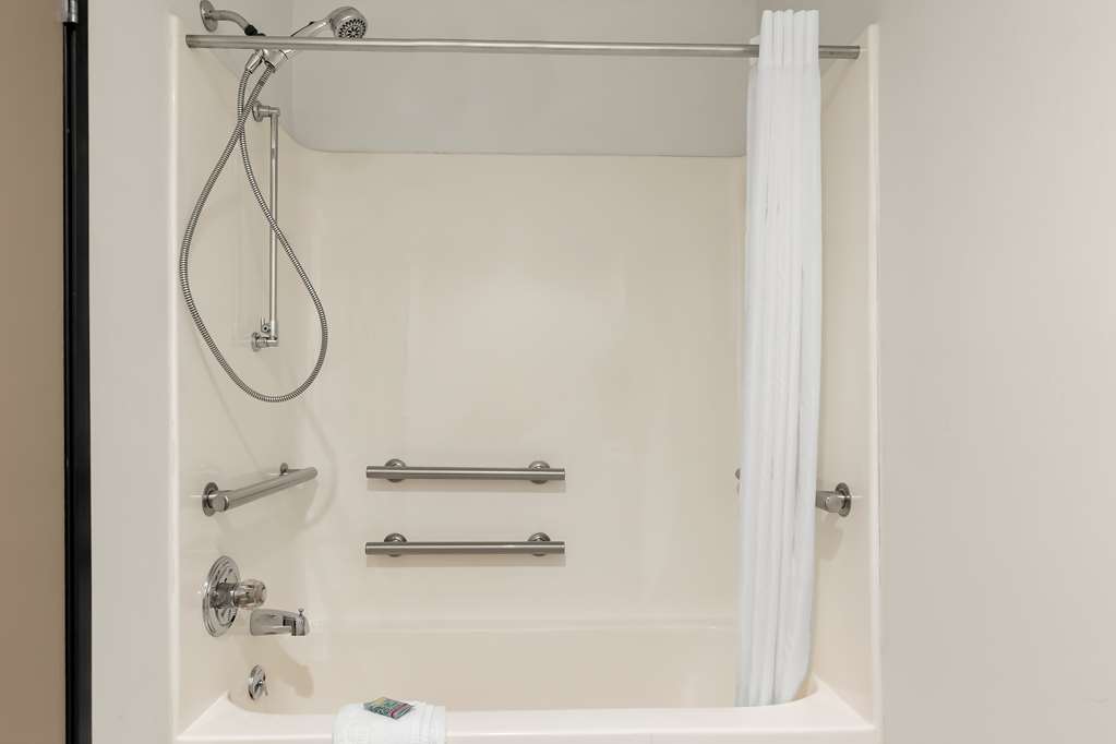 Best Western Saluki Inn - photo 31