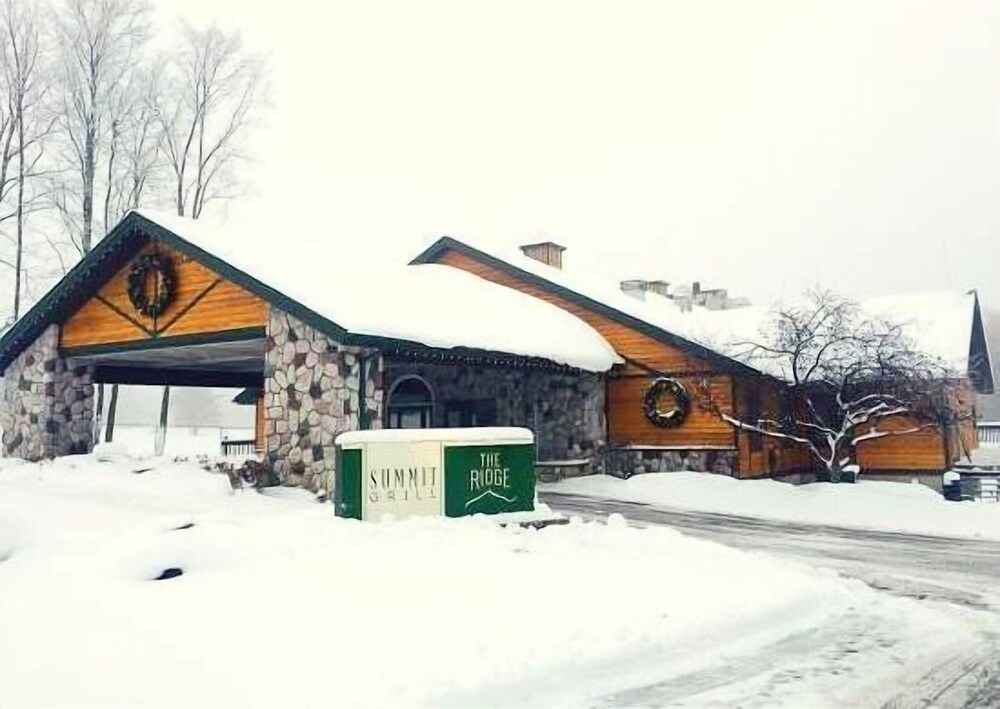 The Loon - photo 21