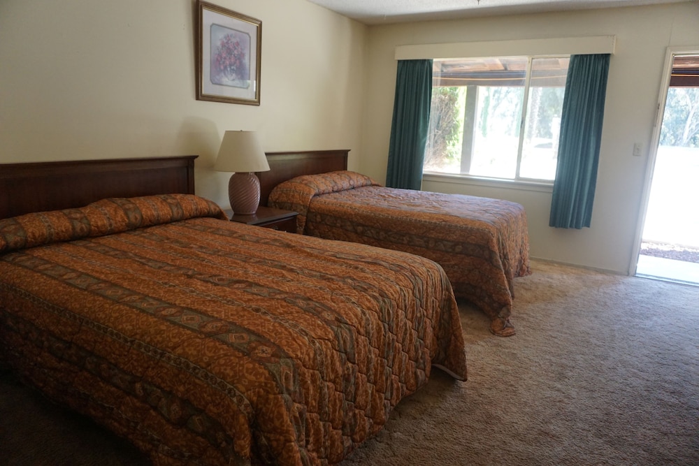 Blue Gum Motel - photo 14