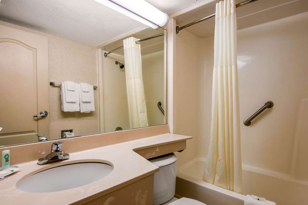 Quality Inn & Suites Tarpon Springs South - photo 18