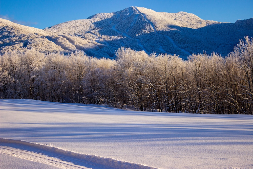 Smugglers' Notch Resort Private Suites - photo 152