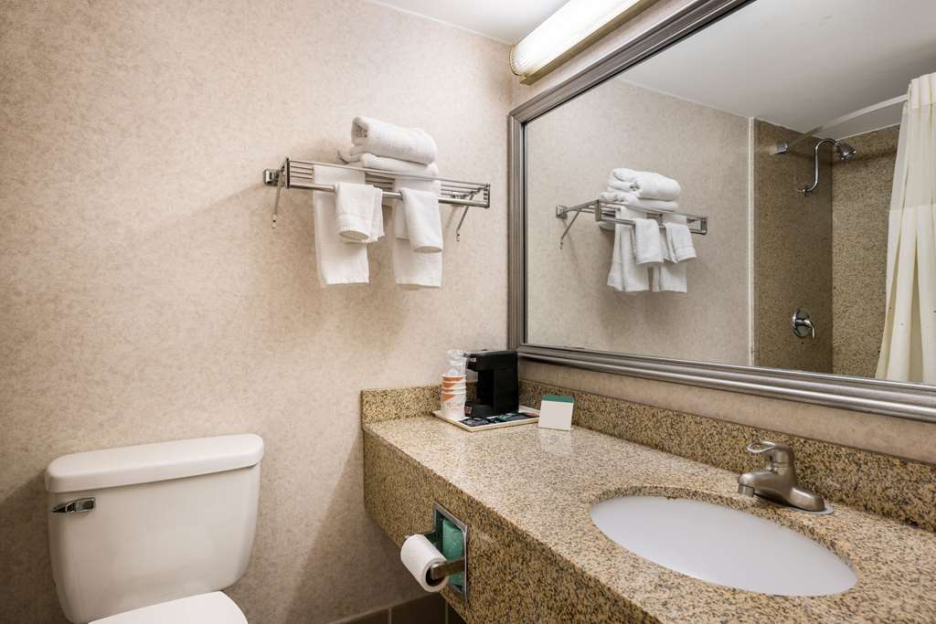 Quality Inn & Suites Syracuse Fairgrounds - photo 23