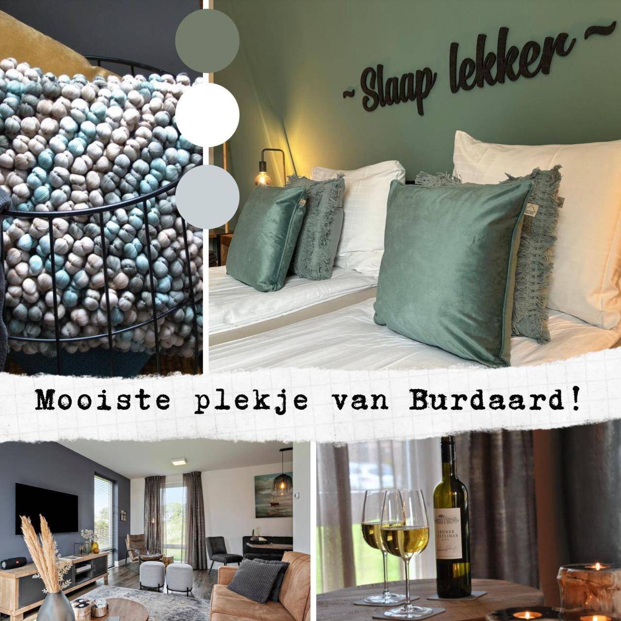 Prachtige Vakantievilla Burdaard — Burdaard