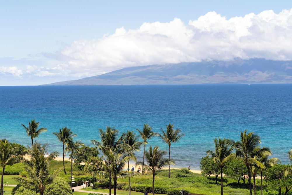 Outrigger Honua Kai Resort & Spa - photo 473