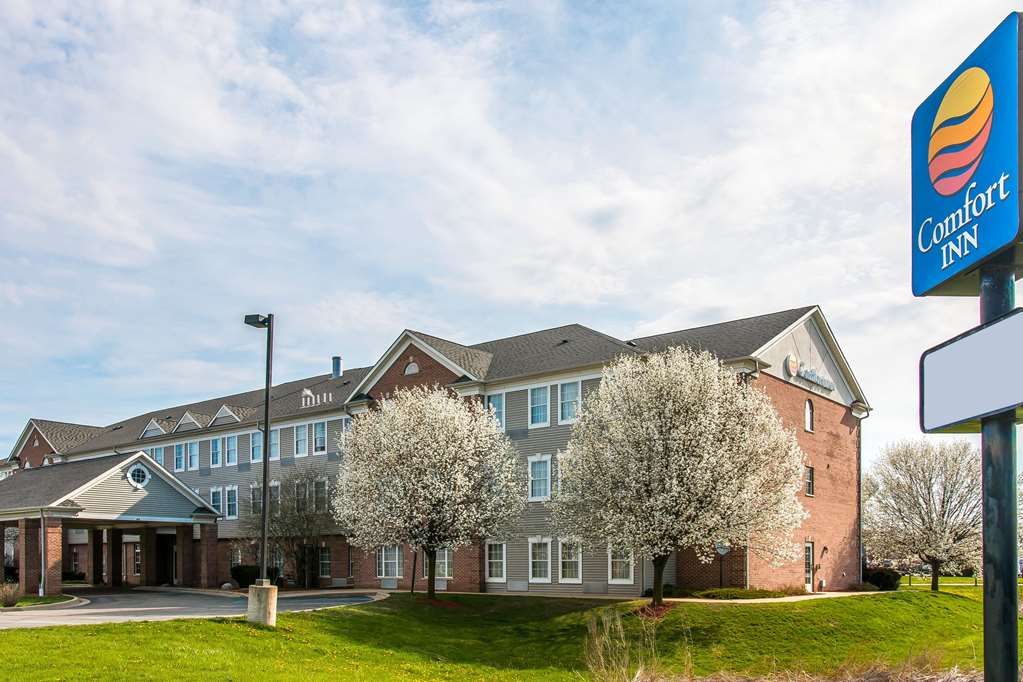 Comfort Inn Chelsea - photo 2