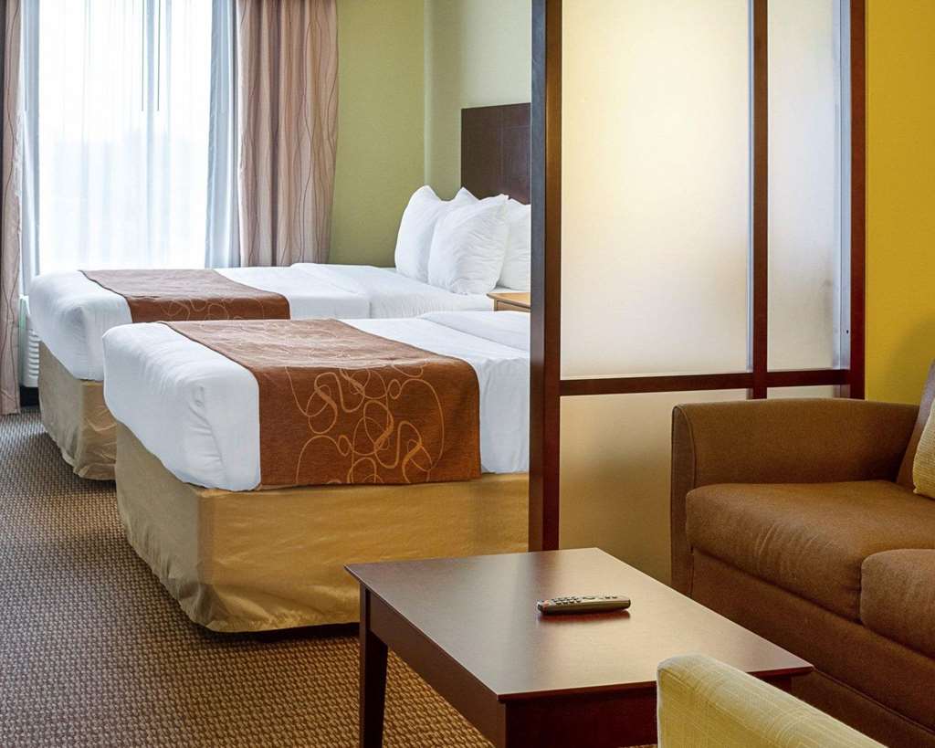 Comfort Suites Harvey New Orleans West - photo 11