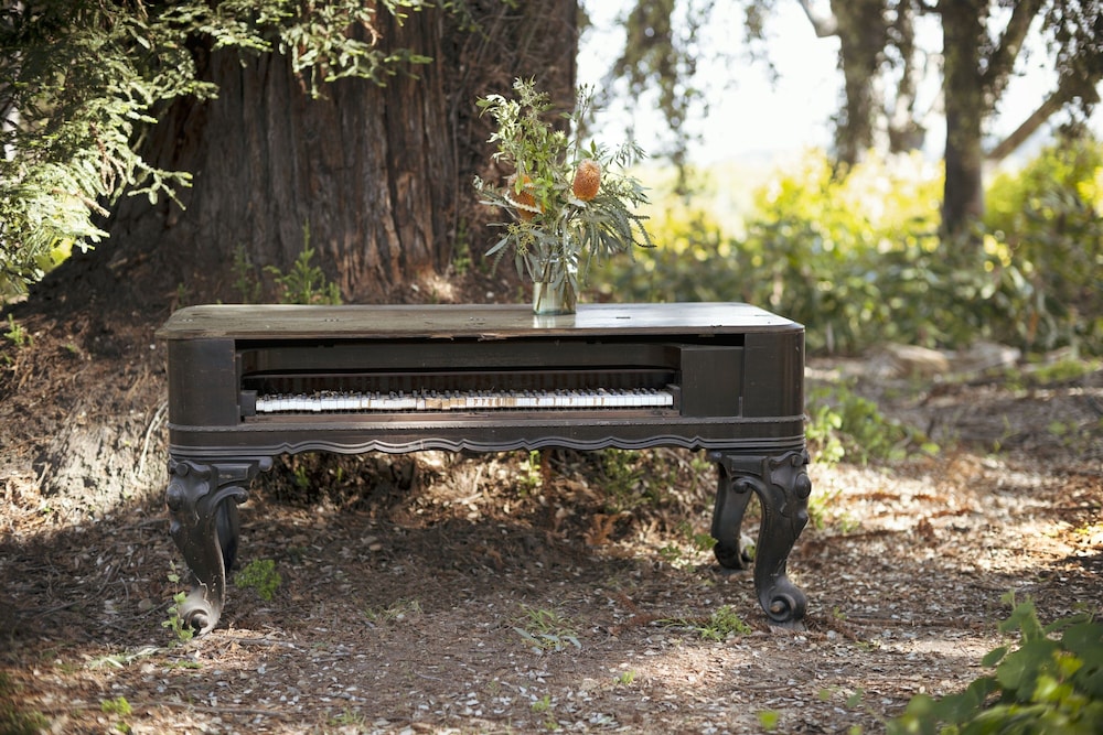 The Steward Santa Barbara Tribute Portfolio - photo 31