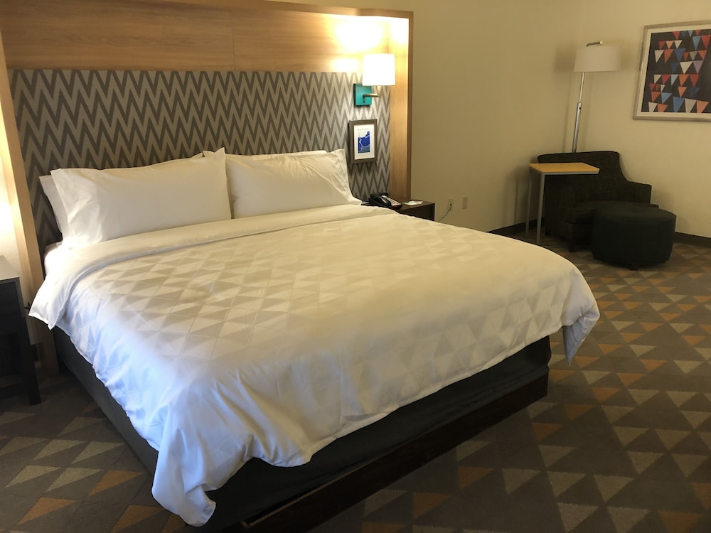 Holiday Inn & Suites Memphis Southeast Germantown by IHG - photo 10