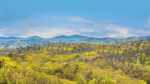 Wild Honey - last minute hotel in Sevierville