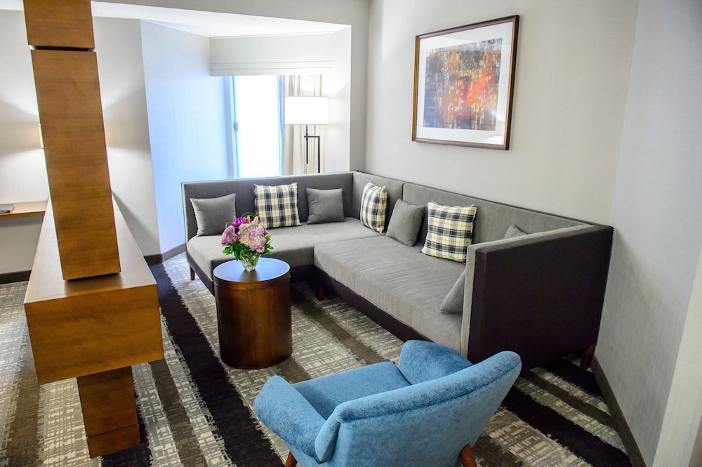Crowne Plaza Dulles Airport by IHG - photo 47
