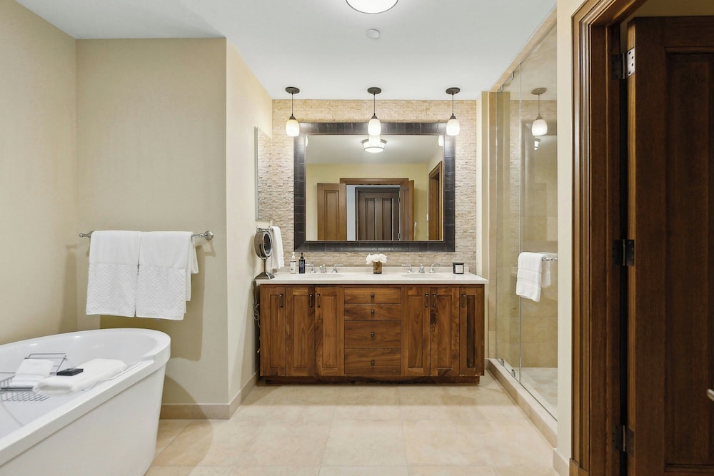 The St. Regis Deer Valley - photo 151