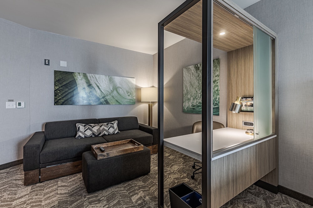 SpringHill Suites by Marriott Detroit Sterling Heights - photo 12