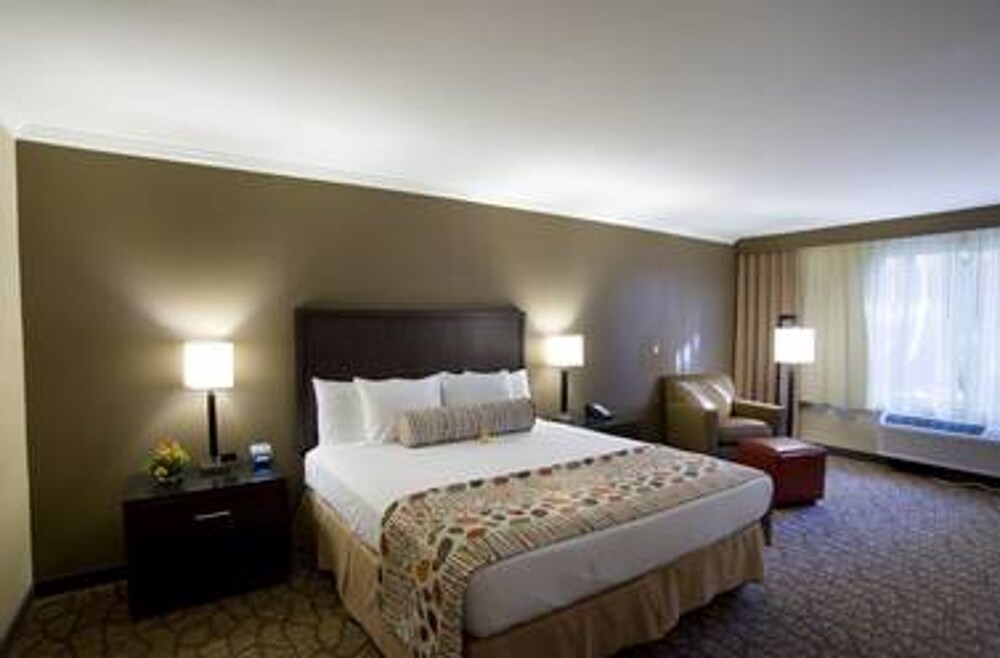 Airtel Plaza Hotel - photo 14