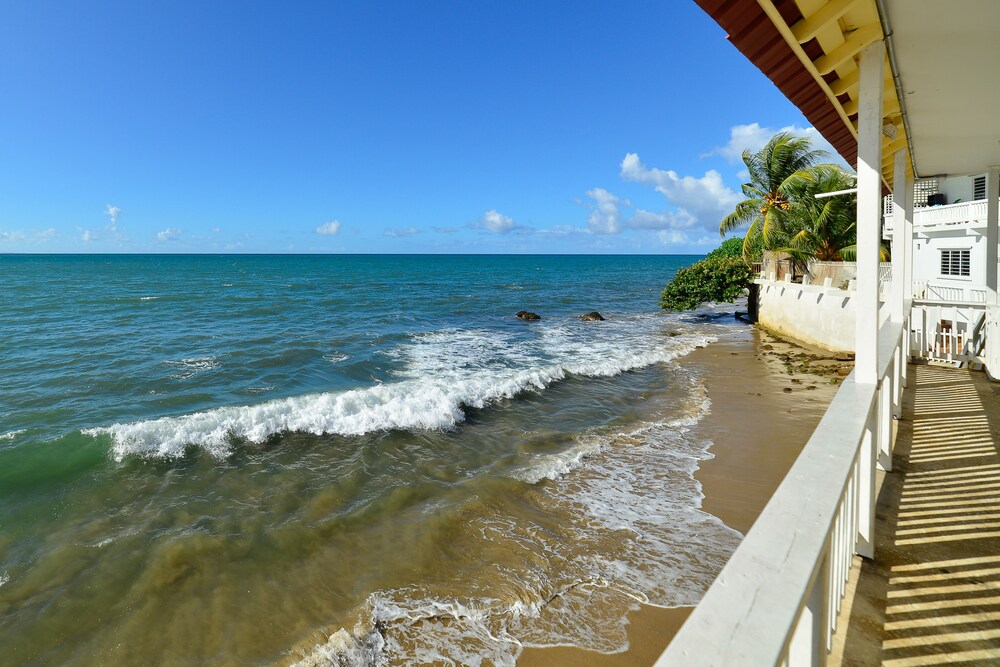 Lemontree Oceanfront Cottages in Rincon, Puerto Rico